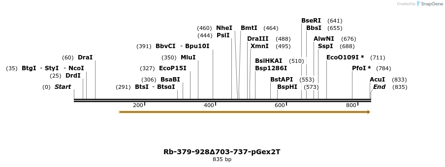 27717_map