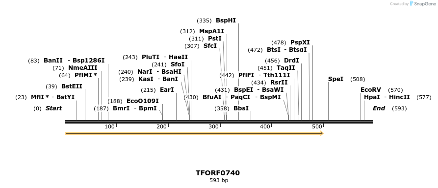 277171_map