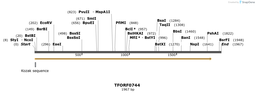 277177_map