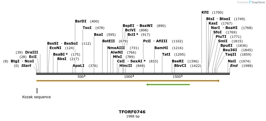 277180_map