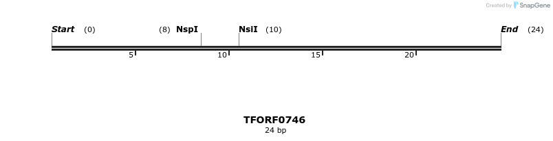 277181_map