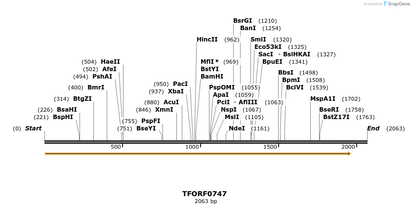 277183_map