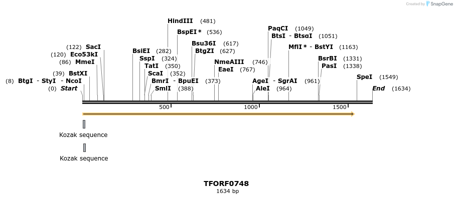 277186_map