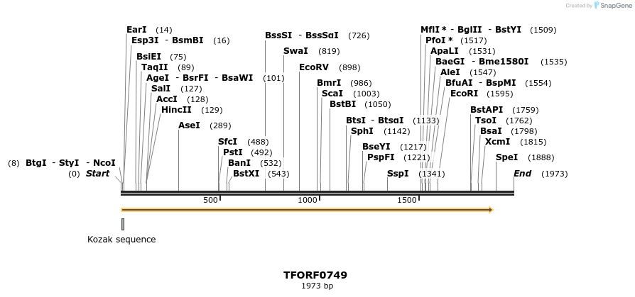 277189_map