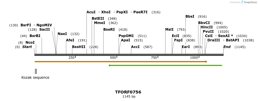 277192_map