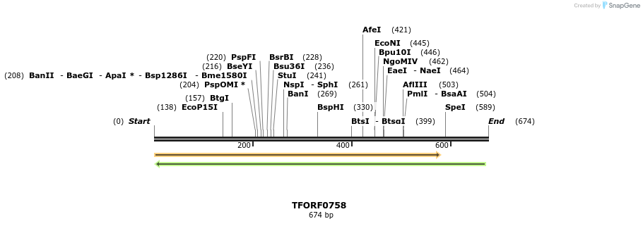 277195_map