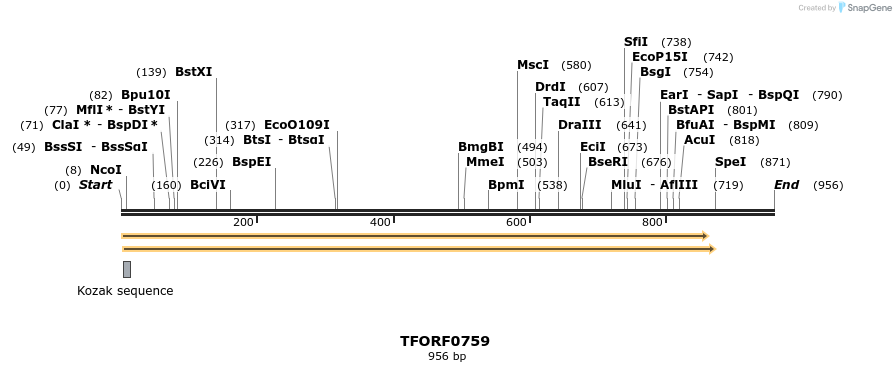 277198_map