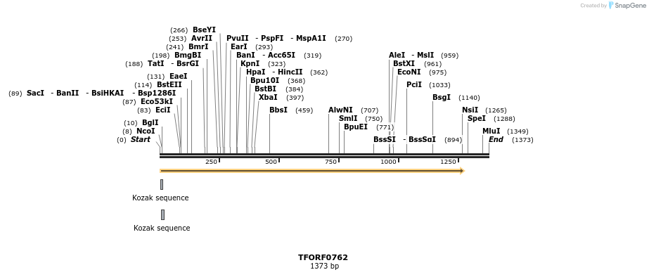 277204_map