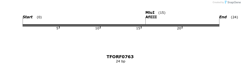277208_map