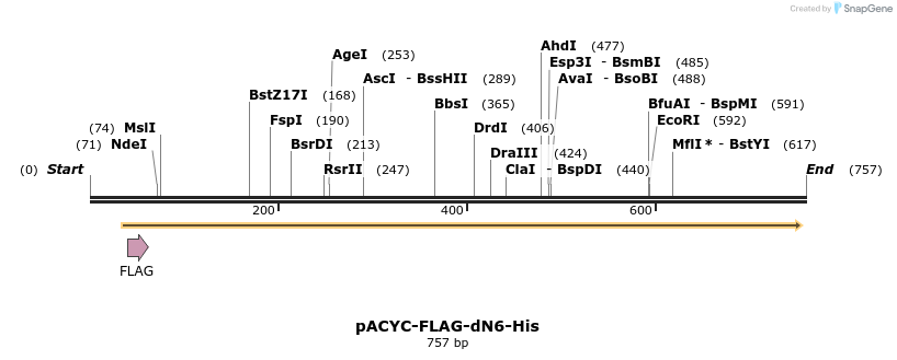27721_map