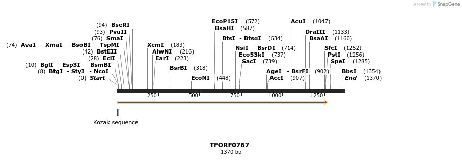 277210_map