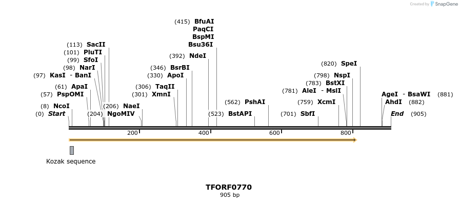 277216_map