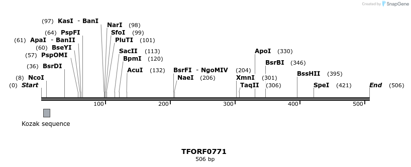 277219_map