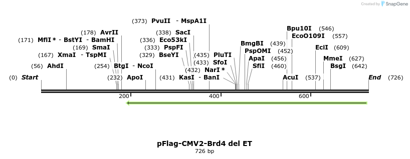 27722_map