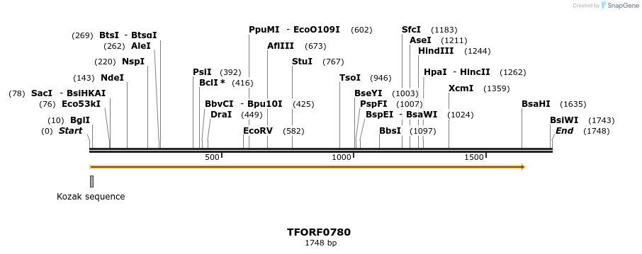 277228_map