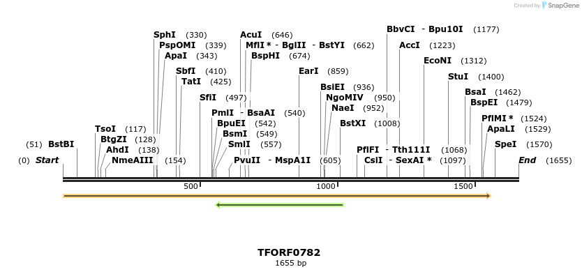 277231_map