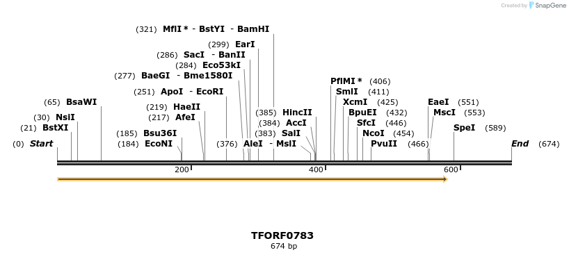 277234_map