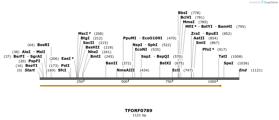 277237_map