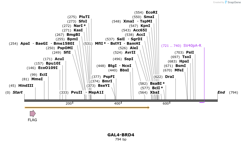 27724_map
