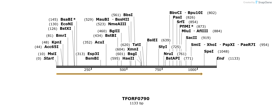 277240_map