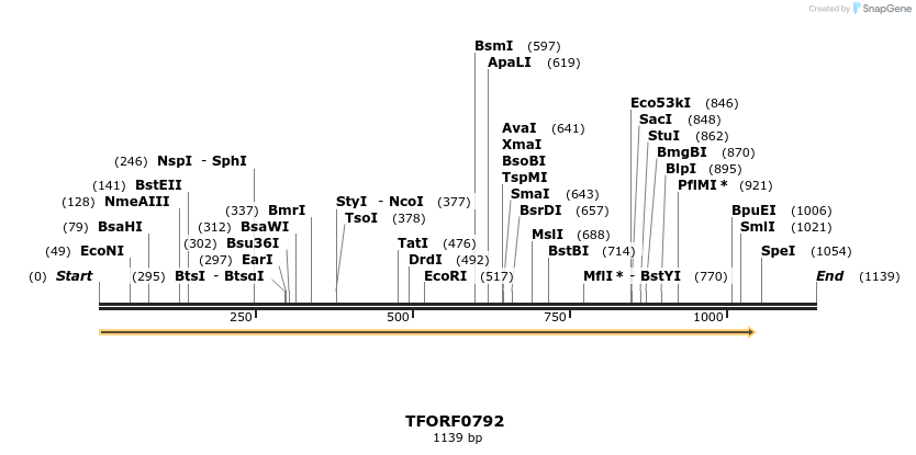 277243_map