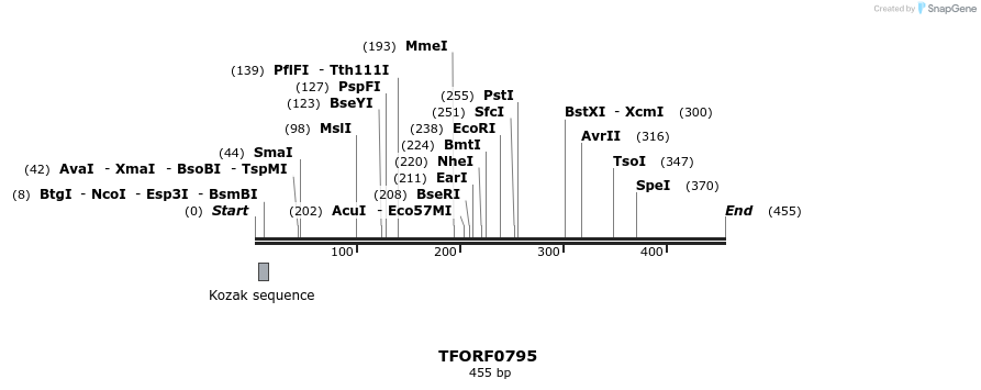 277246_map