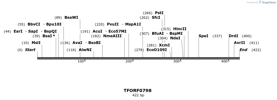 277249_map