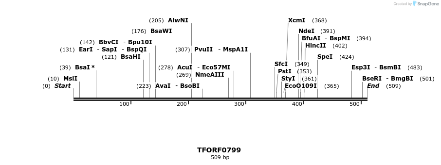 277252_map