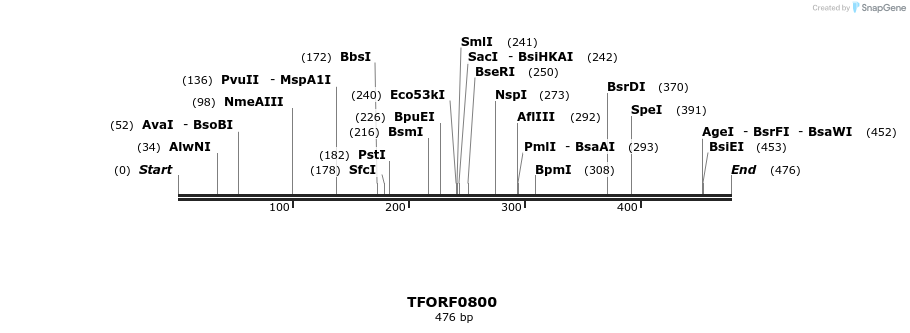 277255_map