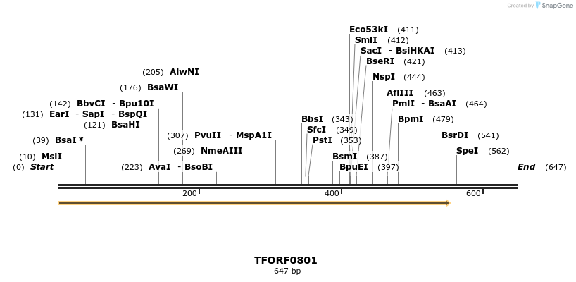 277258_map