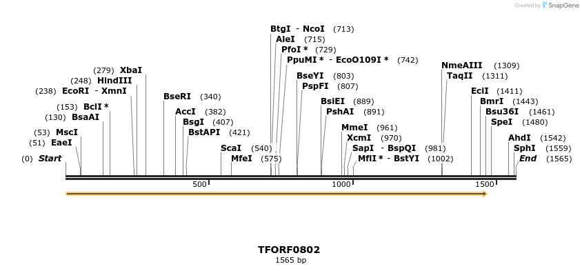 277261_map