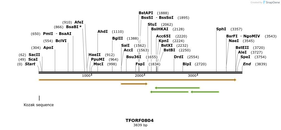 277264_map