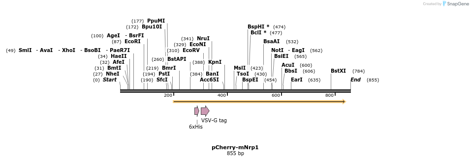 27727_map