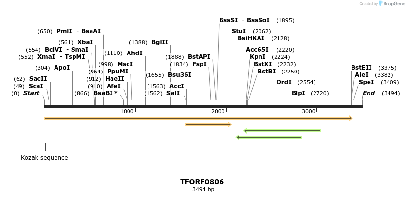 277270_map