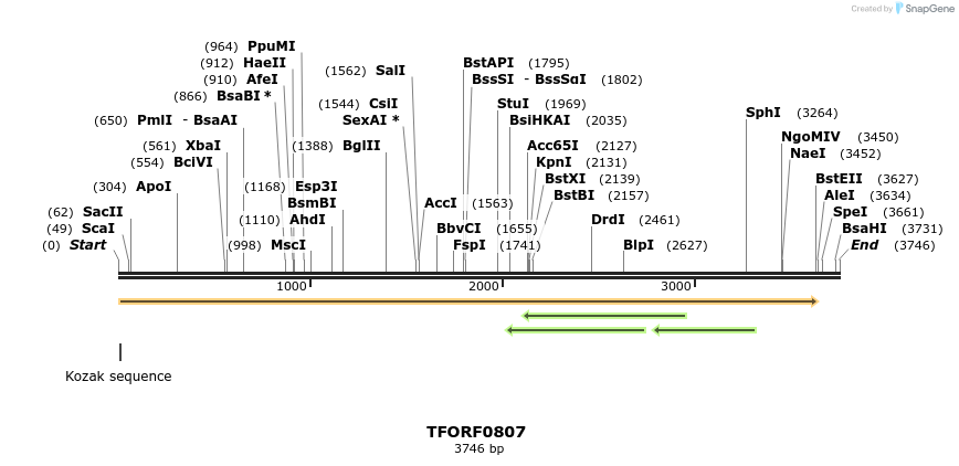 277273_map