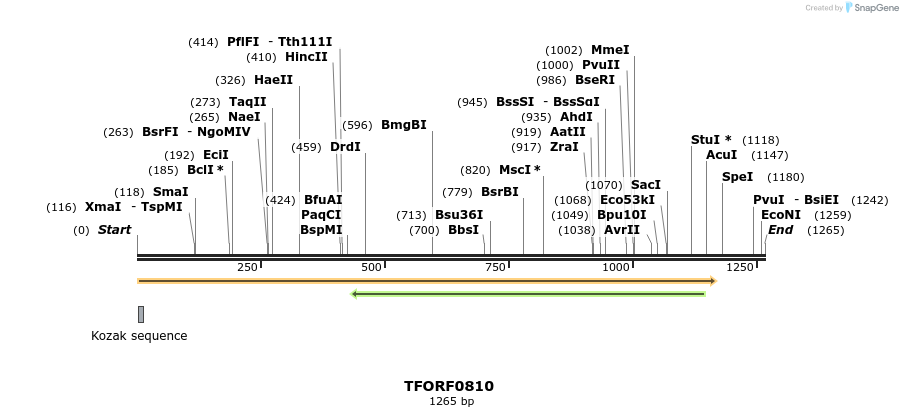 277279_map