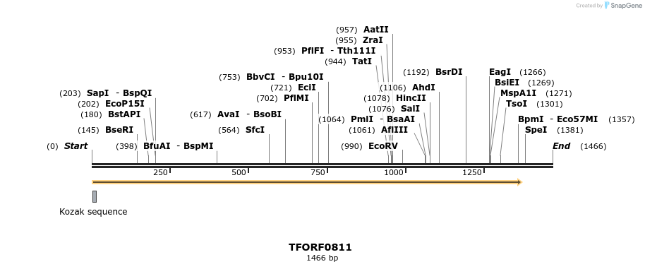 277282_map