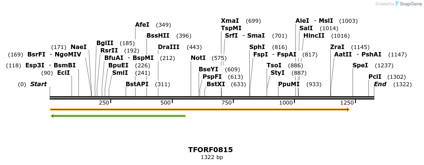 277288_map