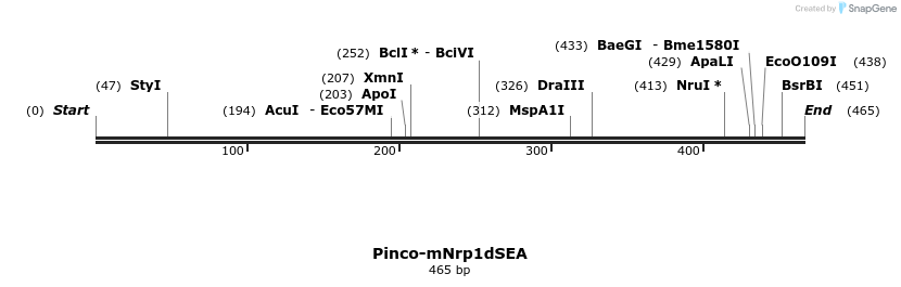 27729_map