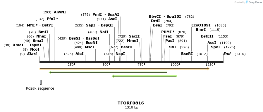 277291_map