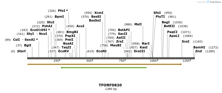 277297_map