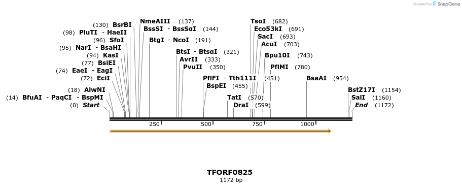 277300_map