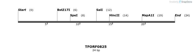 277301_map