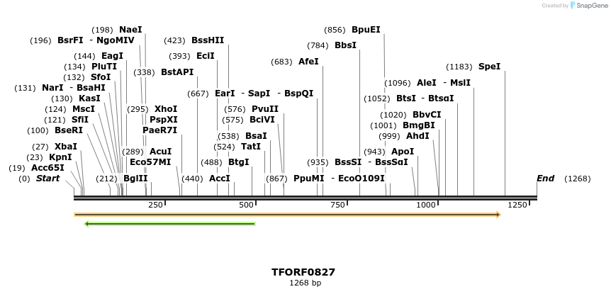277303_map