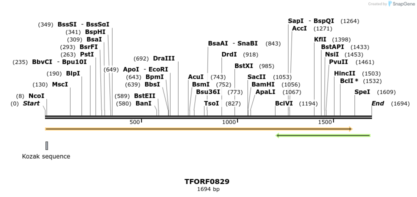 277306_map