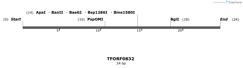 277313_map