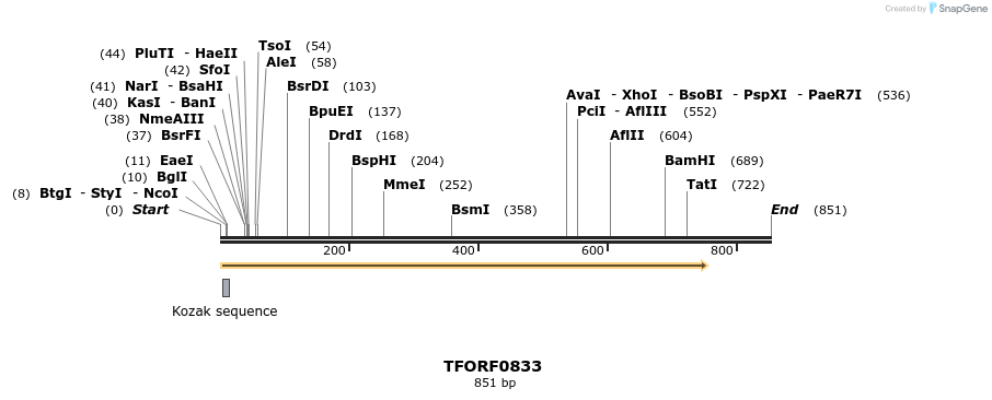 277315_map