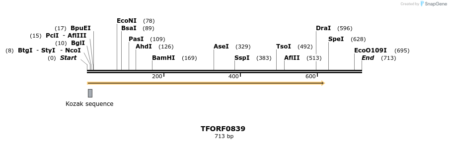 277321_map
