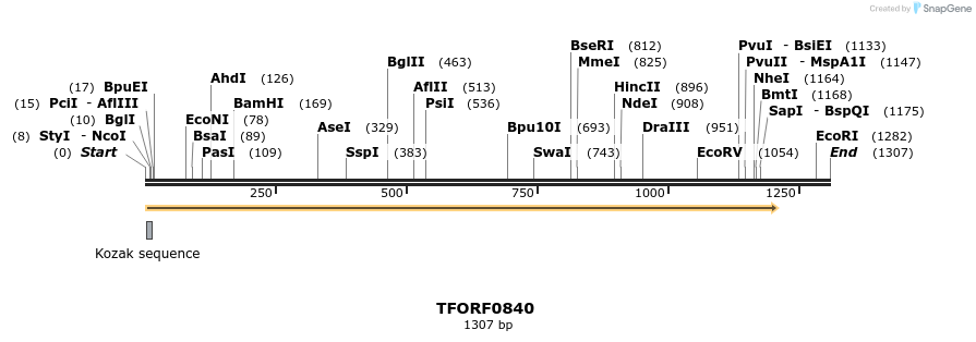 277324_map
