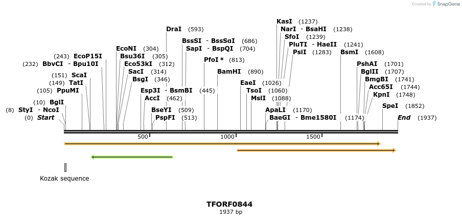 277327_map